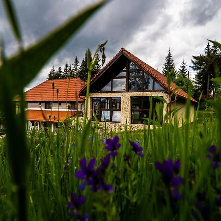Pensiunea Romconcord Balcesti Exterior foto