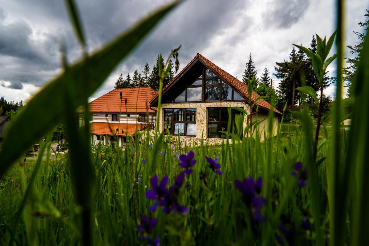 Pensiunea Romconcord Balcesti Exterior foto