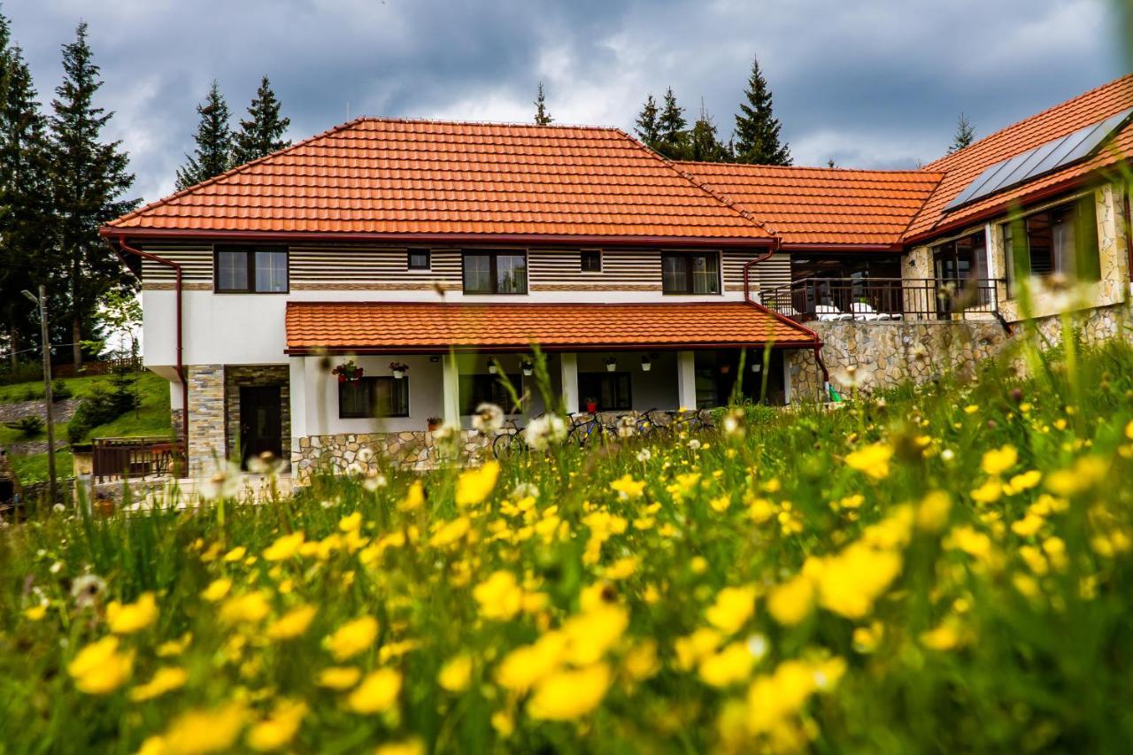 Pensiunea Romconcord Balcesti Exterior foto